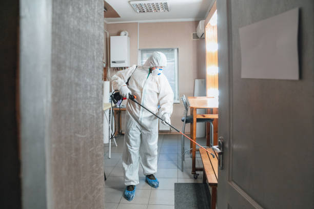 Best Emergency Mold Remediation  in Adwolf, VA